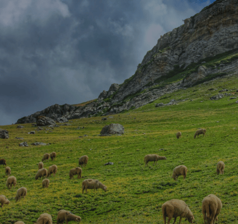 Azad Kashmir is an administrative region of Pakistan situated in the northern part of the country. The northern part of Azad Jammu and Kashmir encompasses the lower part of the Himalayas, including Jamgarh Peak (15,531 feet [4,734 meters]).